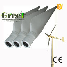 Aubes de Turbine de vent Horizontal 300W-100kw pour les ventes
